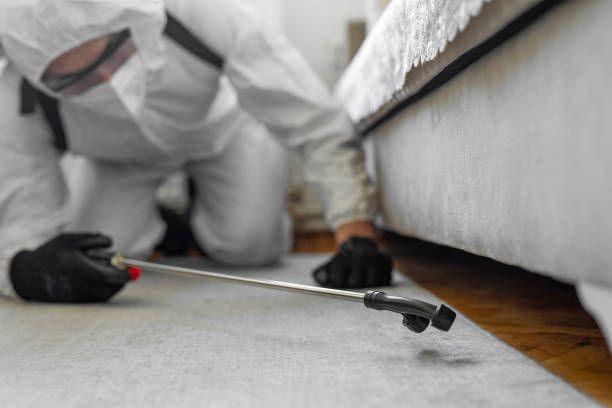 Professional Emergency Pest Control technician working in Montrose-Ghent, OH