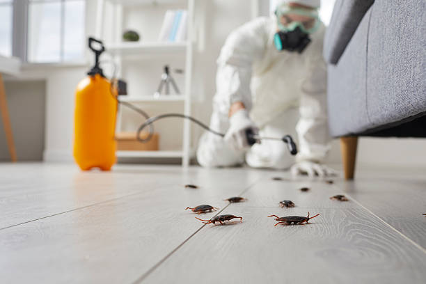 Trusted Fumigation Services service in Montrose-Ghent, OH - Nex Pest Control